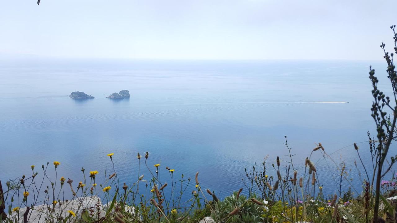 Gli Ulivi Agriturismo Сант'Анджелло Экстерьер фото