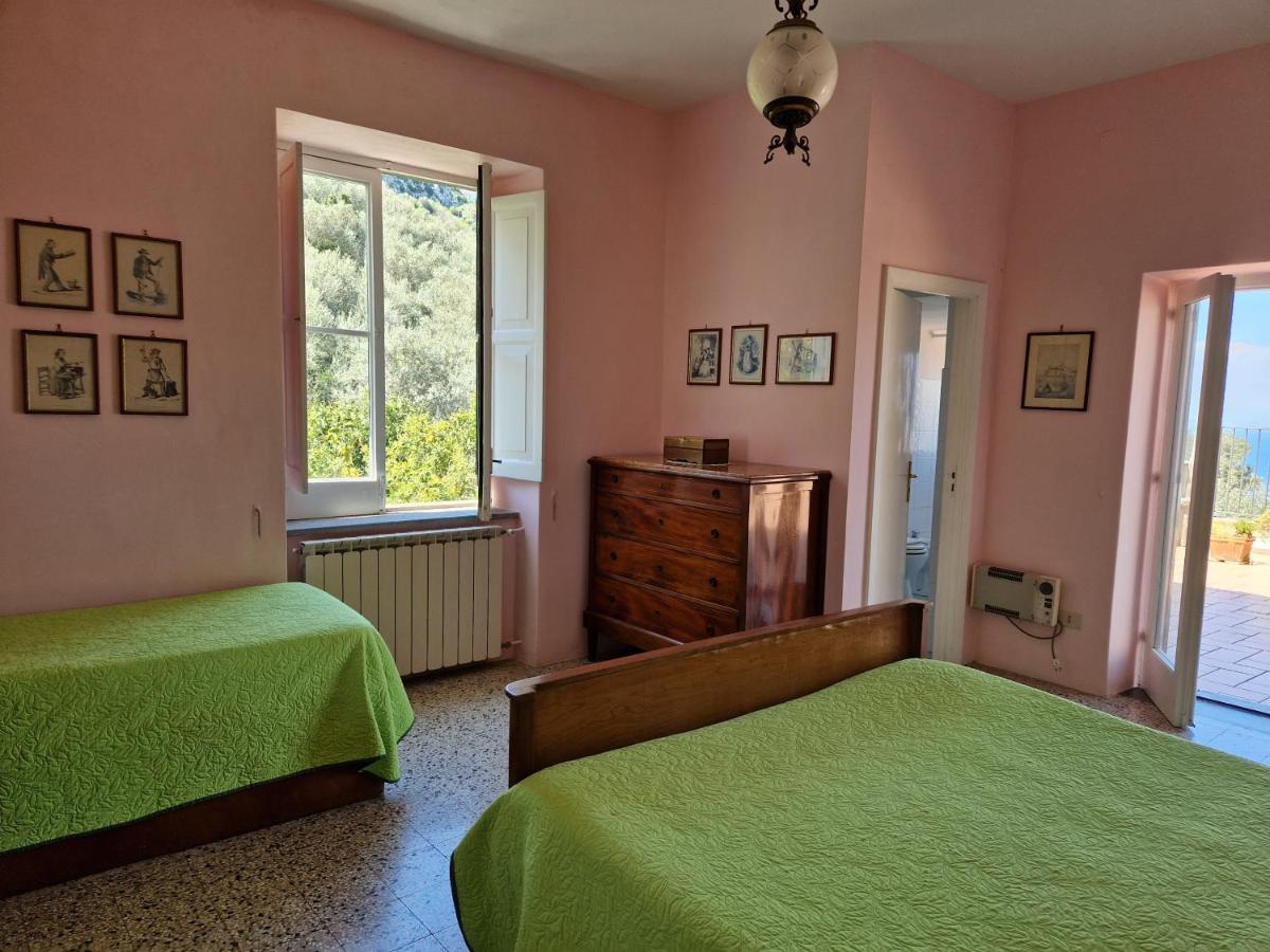 Gli Ulivi Agriturismo Сант'Анджелло Экстерьер фото