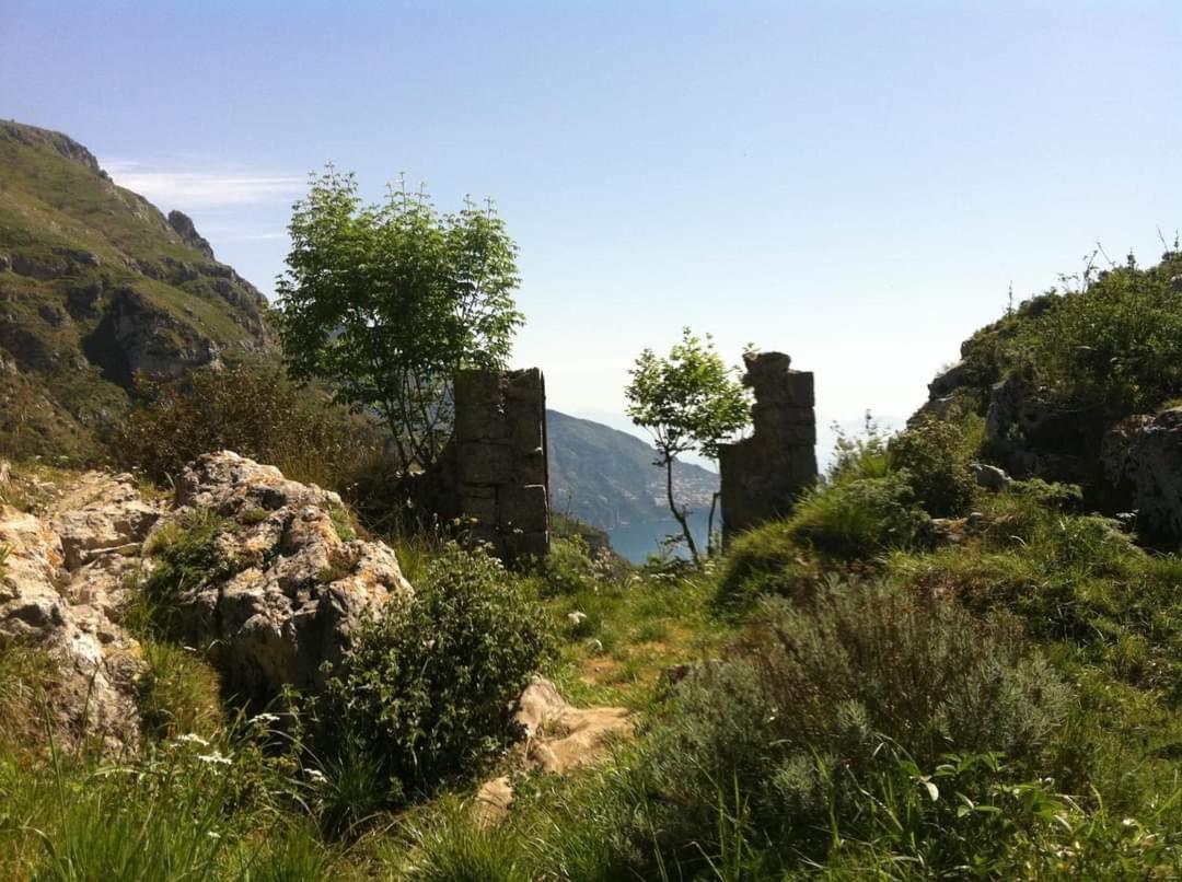 Gli Ulivi Agriturismo Сант'Анджелло Экстерьер фото